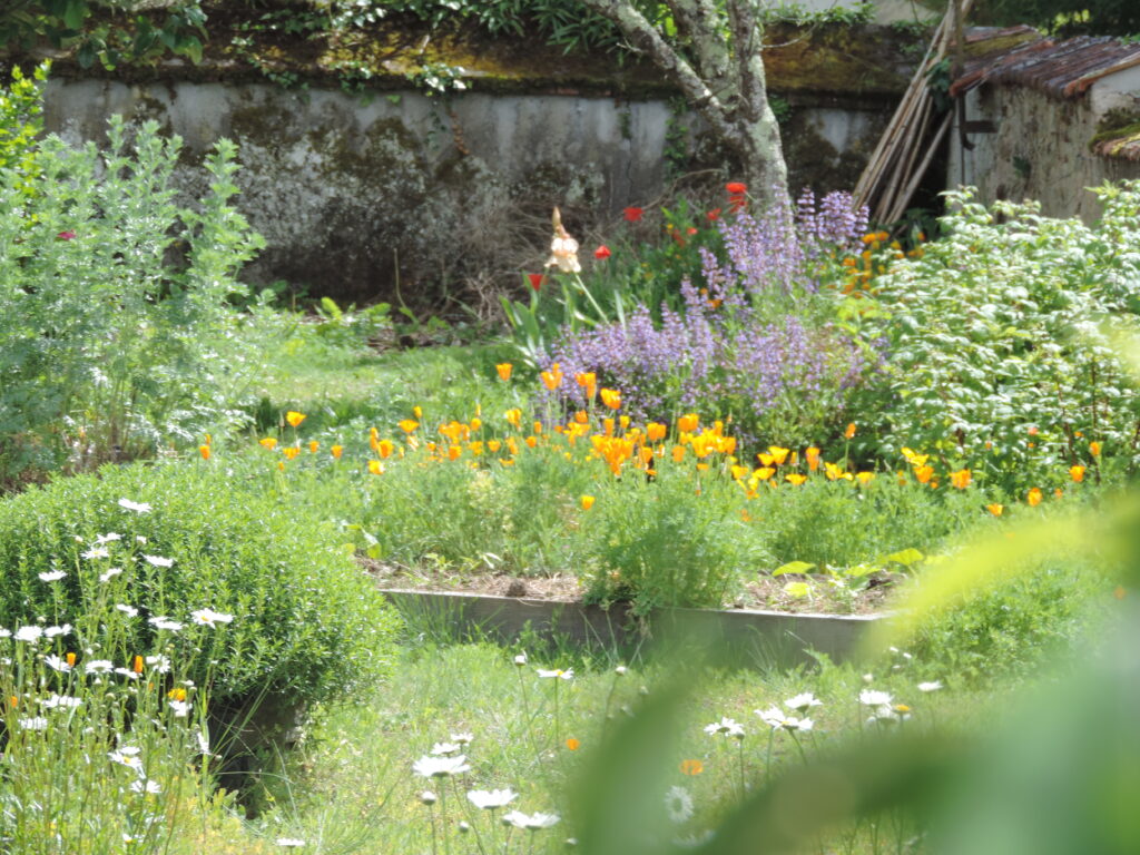 Jardin