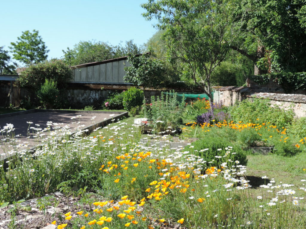 Terrain de pétanque dans un environnement champêtre